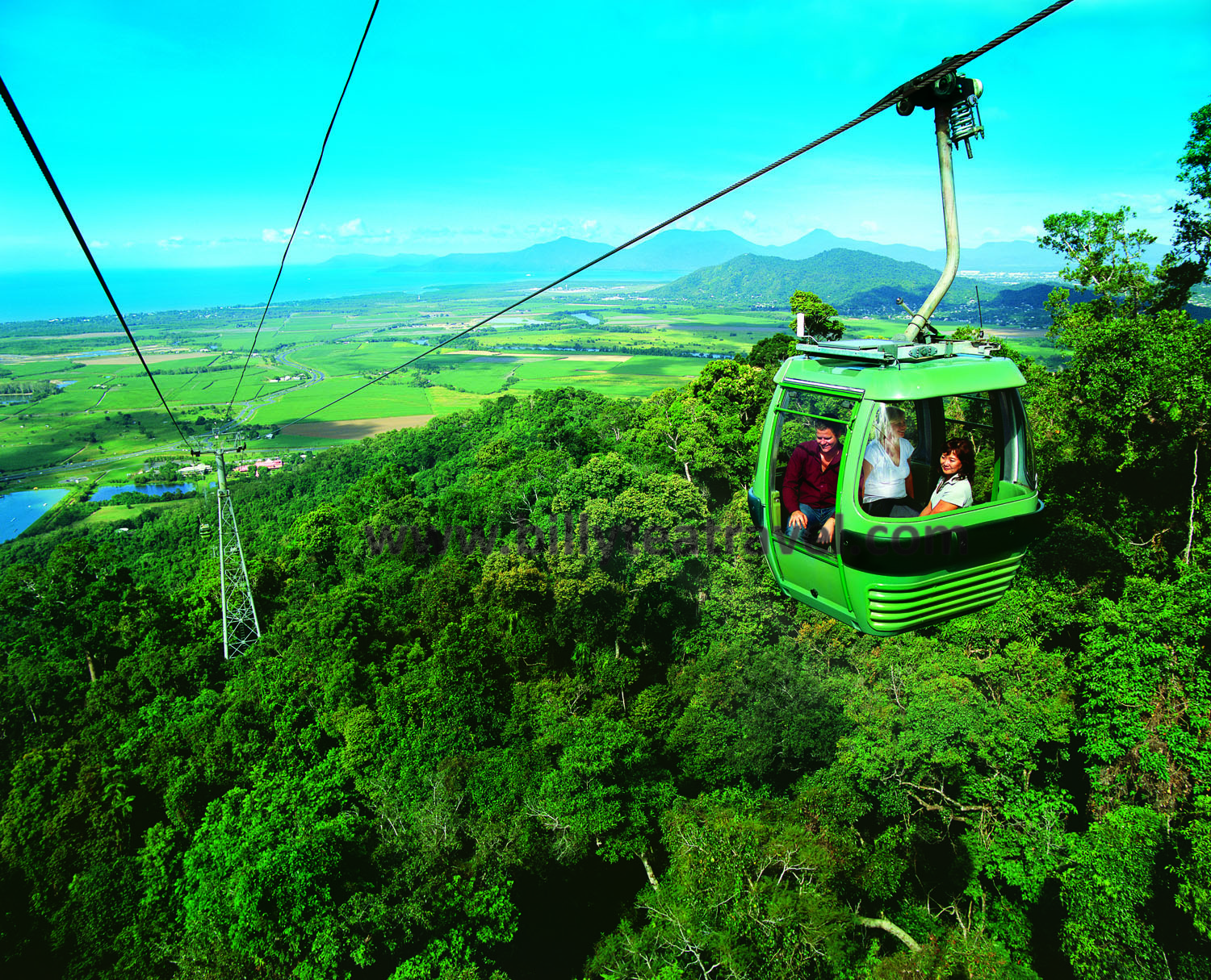 kuaranda-forestation