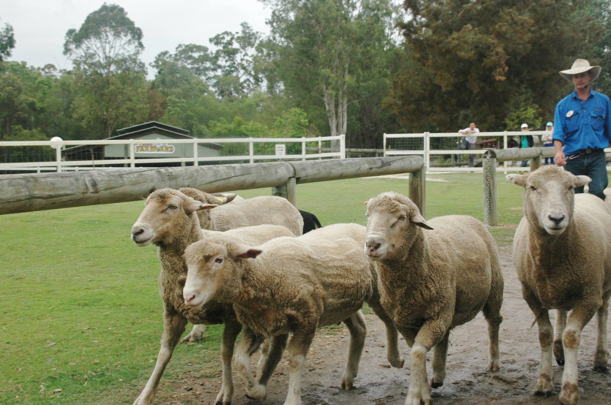 australia-paradisecountry-farm