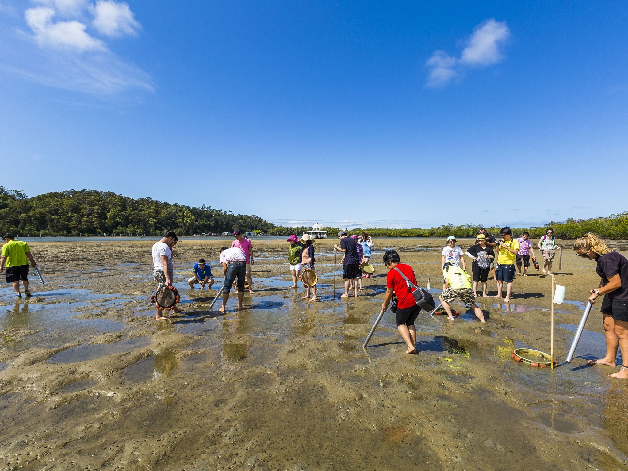 crab-catching
