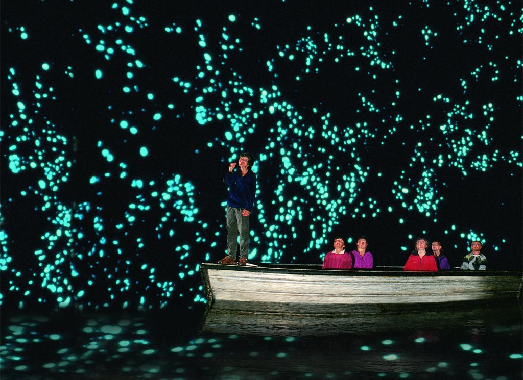 glowworms-cave-23623