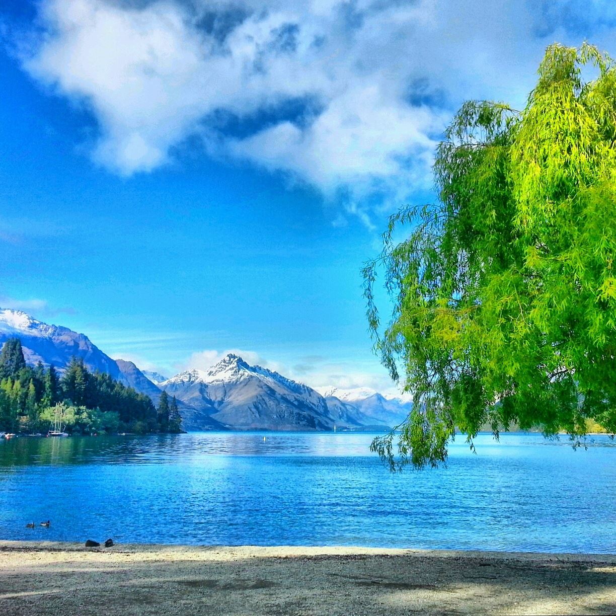 queenstown_completelywanderlust_2